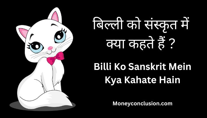 Billi Ko Sanskrit Mein Kya Kahate Hain