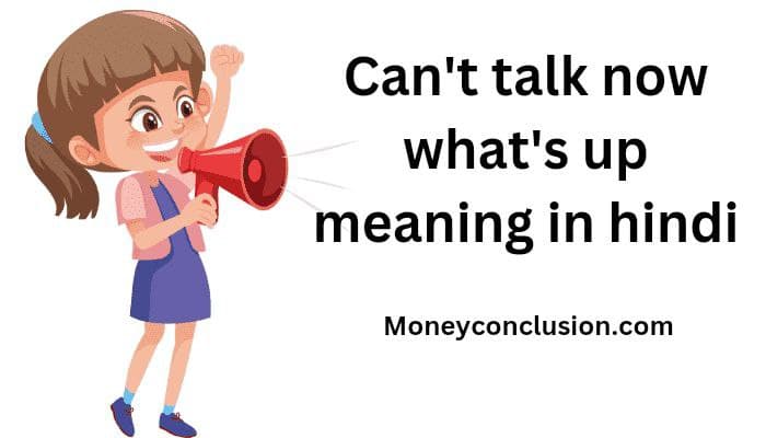 Can't talk now what's up meaning in hindi | Can't talk now what's up का मतलब