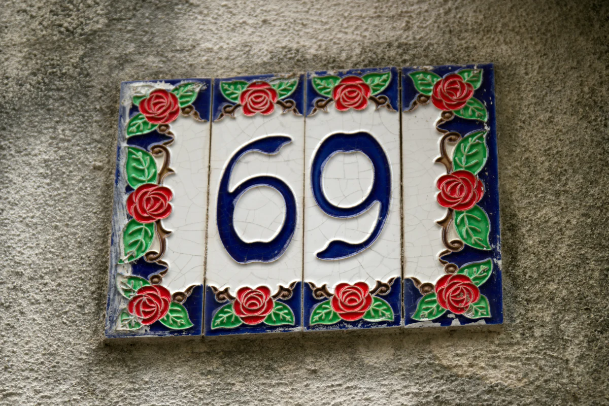 69 Number Meaning